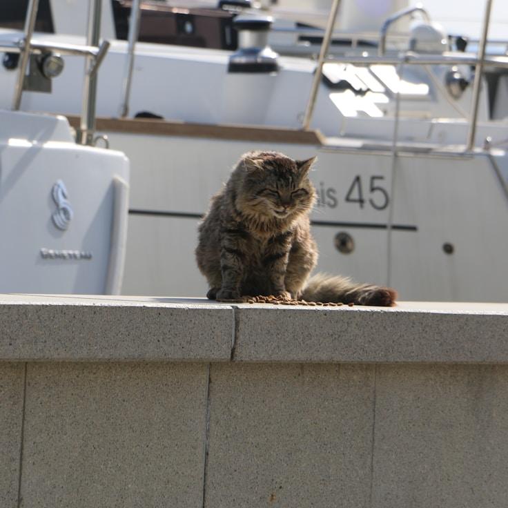 Sea exploration